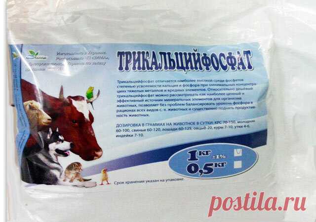 Кормовой трикальцийфосфат для взрослых кур, цыплят и бройлеров | Курочка | Яндекс Дзен