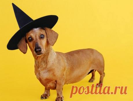 Редактировать описание