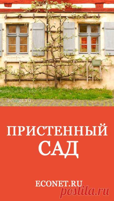 Пристенный сад

Удивительно красиво выглядят различные строения на участке, когда они увиты разнообразными насаждениями.