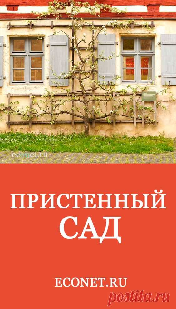 Пристенный сад

Удивительно красиво выглядят различные строения на участке, когда они увиты разнообразными насаждениями.