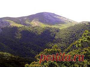 РОМАН-КОШ, гора в Крыму. (Ороман, Араман, Орман-Кош). Роман-Кош является самой высокой вершиной на Крымском полуострове. Расположена в массиве Ба-буган-яйла в основной гряде Крымских гор. Высота этой горы — 1545 м над уровнем моря. В основном она сложена известняками.