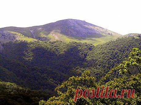 РОМАН-КОШ, гора в Крыму. (Ороман, Араман, Орман-Кош). Роман-Кош является самой высокой вершиной на Крымском полуострове. Расположена в массиве Ба-буган-яйла в основной гряде Крымских гор. Высота этой горы — 1545 м над уровнем моря. В основном она сложена известняками.