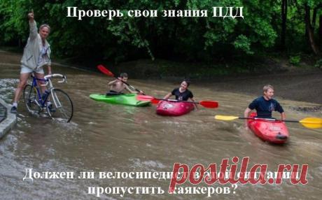 Любимая Жена (Набираю Учеников В Сёрф ) - 31 мая 2015 в 16:13