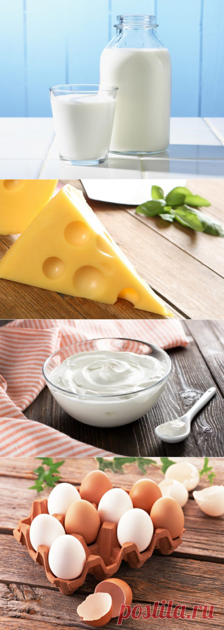 Правила хранения молочных продуктов и яиц — Делимся советами