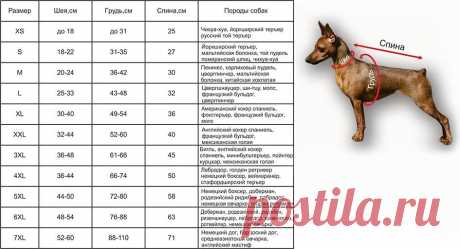 Как самому связать одежду для собаки своими руками по готовым схемам
