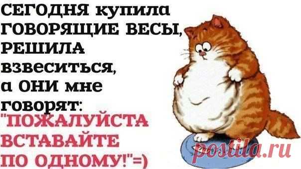 Не ждите понедельника, удачного момента или особого настроения. Пусть ваше первое действие в направлении стройности произойдет спонтанно, без пауз и промедлений. 3 ИЮЛЯ, в 15:00 по московскому времени. Открытый экспресс-урок в Академии  питания! Вход на занятие по ссылке:   http://21.ak-pitaniya.com/