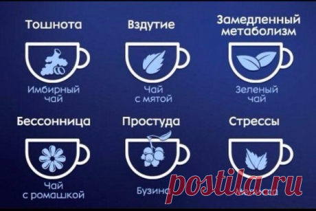 Людмила Михалевич