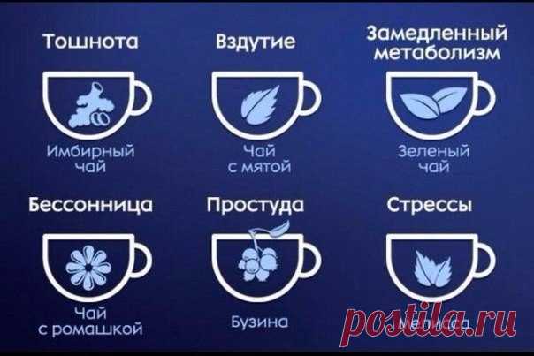 Людмила Михалевич