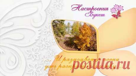 Осеннее настроение