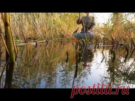 онлайн рыбалка в камышах 1 !!!