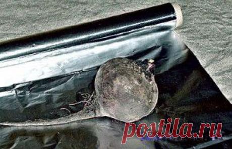 Как облегчает жизнь фольга? | Умная кухня, легкий быт