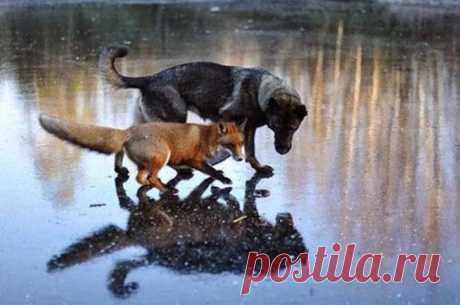 Google+