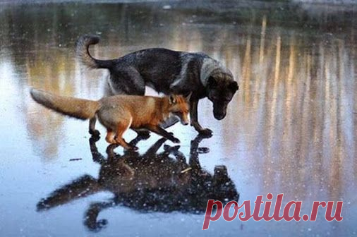 Google+