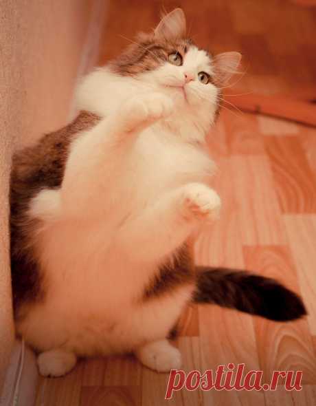 Берегите природу