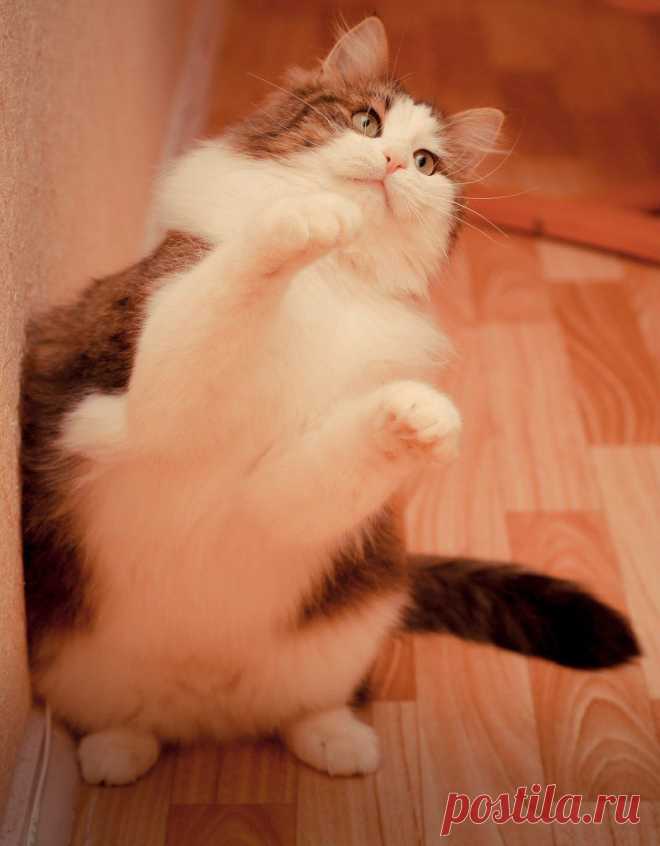 Берегите природу