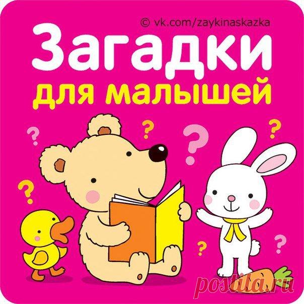 Картинки про загадки (32 фото) ⭐ Забавник