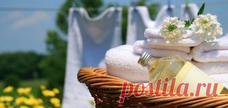 Хитрости Жизни