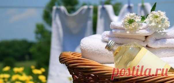 Хитрости Жизни