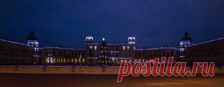 Новогодняя елка.