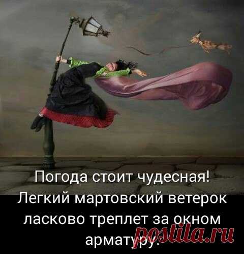 Юмор