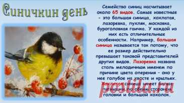 В Синичкин день даже природа улыбается — ведь мы вспоминаем, как важно быть добрыми. Поделитесь зёрнышками, теплом и вниманием — и жизнь станет ярче!
Открытки на Синичкин день