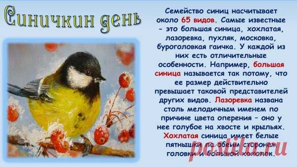 В Синичкин день даже природа улыбается — ведь мы вспоминаем, как важно быть добрыми. Поделитесь зёрнышками, теплом и вниманием — и жизнь станет ярче!
Открытки на Синичкин день