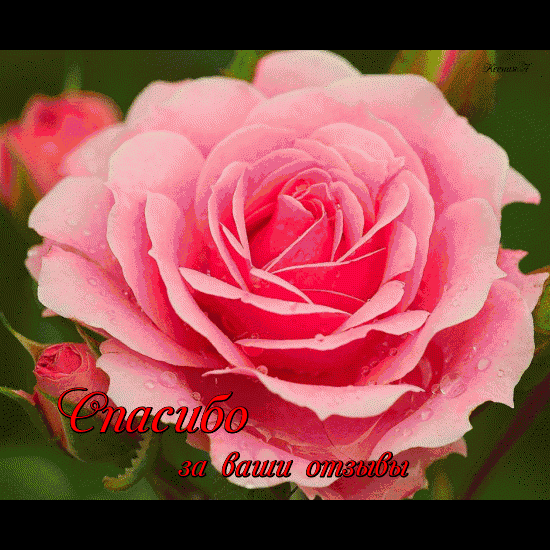 Спасибо за ваши отзывы!!!