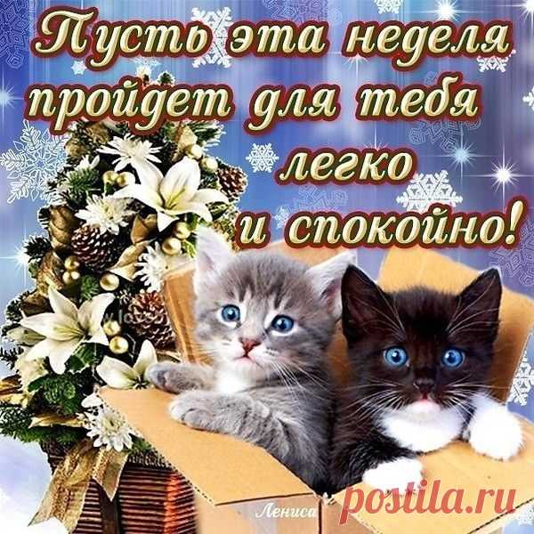Архив открыток отправленных 2 Ноября 2015 года. Добавили: Алёна Лешкова, Елена , Михаил Солин, Людмила Артамонова, Марина Сергеева, Алла Васильева
