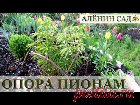 КРАСИВАЯ и ПРОСТАЯ опора для пионов своими руками в природном стиле
