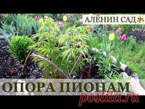 КРАСИВАЯ и ПРОСТАЯ опора для пионов своими руками в природном стиле