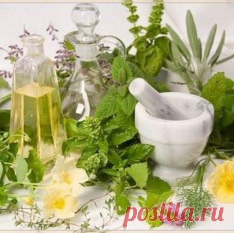 Отвар трав для укрепления сосудов от Сибирских Ведунов