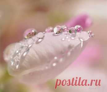 Alexander 62de ru – Google+