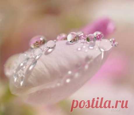 Alexander 62de ru – Google+