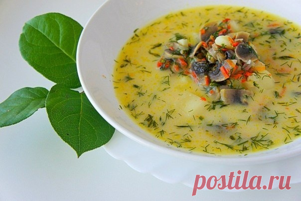Как приготовить грибной сливочный суп. - рецепт, ингредиенты и фотографии