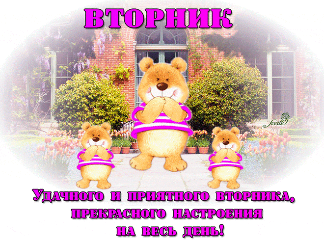 Анимационные открытки на вторник. Прикольные картинки.