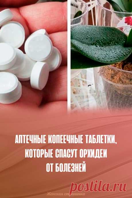 Аптечные копеечные таблетки, которые спасут орхидеи от болезней