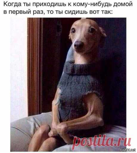 Смешные комментарии из социальных сетей 09.04.15