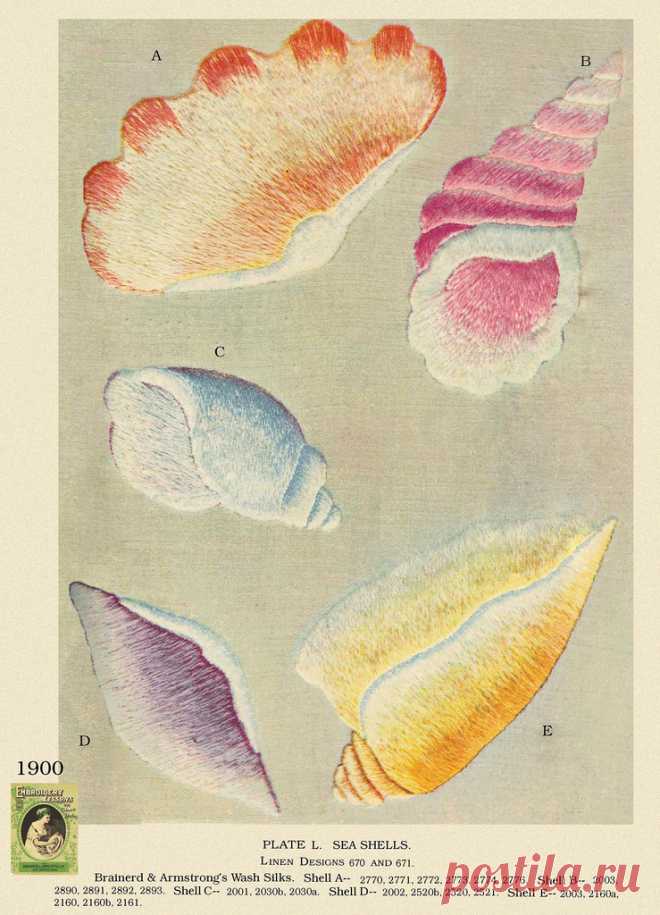 Brainerd & Armstrong  L 1900