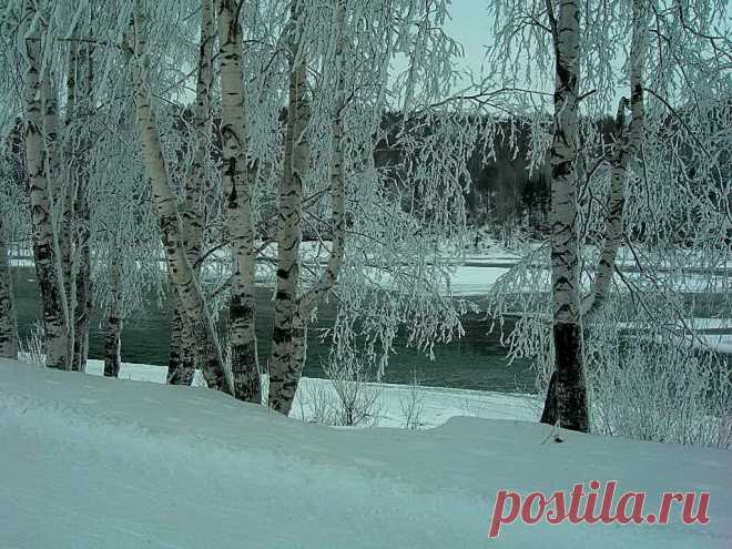 ФОТОМАСТЕРСКАЯ ПРИРОДЫ
Александр Тимофеев