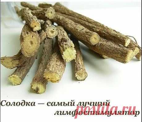 СОЛОДКА - САМЫЙ ЛУЧШИЙ ЛИМФОСТИМУЛЯТОР, РАСТЕНИЕ СОЗДАННОЕ ОЧИЩАТЬ И ОБНОВЛЯТЬ ЛИМФАТИЧЕСКУЮ СИСТЕМУ. 

Сначала я вам расскажу, что такое лимфа и какие болезни развиваются при грязной лимфе. А в конце и сам рецепт, как очистить ее с помощью сиропа солодки и пасты энтеросгель. 

Обычно вся лимфа в нашем организме в густом состоянии. Она движется снизу-вверх, в одном направлении. Движется благодаря сокращениям мышц. И весь путь лимфы от кончиков ног пальцев до головы проходи...