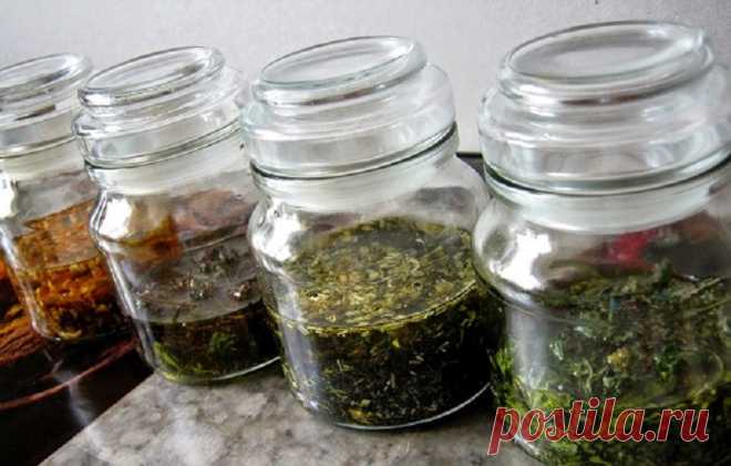 Выбросьте пузырек с валерьянкой! У вас на огороде есть средство эффективнее! 
Стрессы — проклятье XXI века. Мы пытаемся всё успеть: решить проблемы на работе, справиться с домашними неурядицами, детскими проблемами и вездесущими родственниками… В результате зарабатываем повыше…