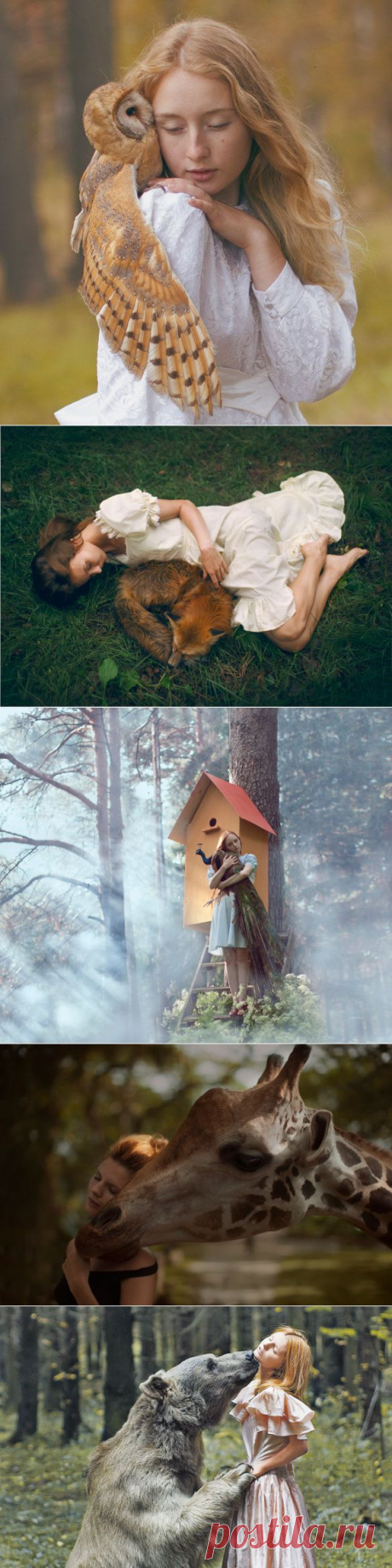 Это кто тут перед камерой СЛОНяется? // KP.RU