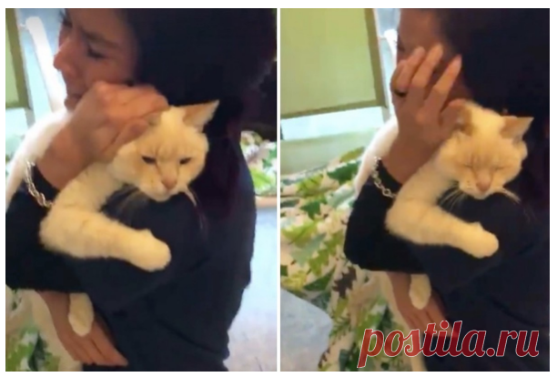 Женщина не сдавалась и нашла своего кота спустя 2 года после пропажи | Чёрт побери Жительница Филадельфии два года искала своего кота по кличке Диего. Пропавший любимец нашёлся в одном из местных приютов, куда хозяйка приехала за ним прямо с работы. Трогательную встречу сотрудники приюта сняли на видео, ролик набрал в фейсбуке более 4 миллионов просмотров.  Кот по кличке Диего жил у Айрис Самантьяго из Филадельфии 12 лет. Два года назад отец женщины приехал навестить дочь ...