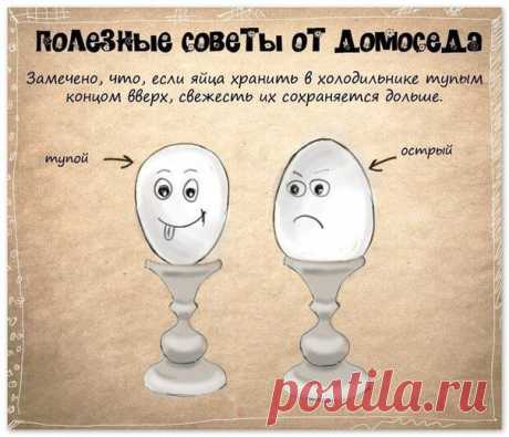 10 полезных советов домохозяйке