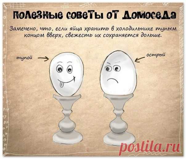 10 полезных советов домохозяйке