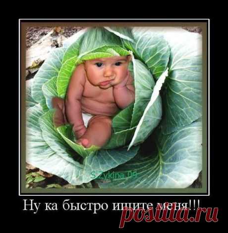 ...аист для &quot;ВИПов&quot;...