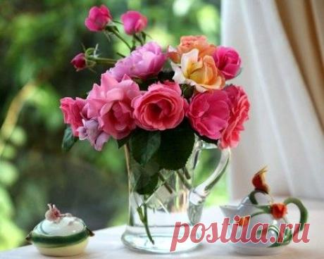 ЧТО ЖЕЛАТЕЛЬНО И ЧЕГО НЕЛЬЗЯ ИМЕТЬ В ДОМЕ | Golbis