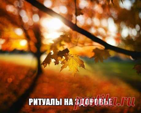 ДНЕВНИК ЗНАНИЙ И МУДРОСТИ