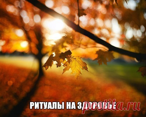 ДНЕВНИК ЗНАНИЙ И МУДРОСТИ