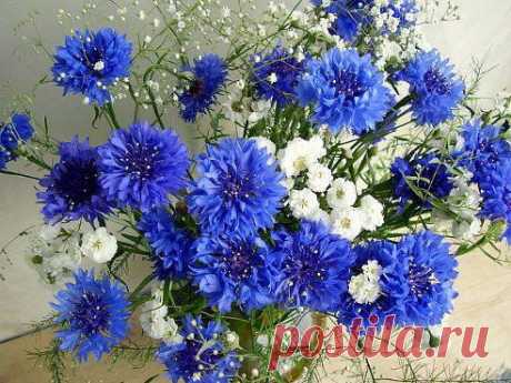 ВНИМАНИЕ!!! ДЛЯ ТОГО ЧТОБЫ ПОЛНОЦЕННО ВСТУПИТЬ В ГРУППУ И ВАМ НА ЛЕНТУ ПРИХОДИЛИ НАШИ ЗАМЕЧАТЕЛЬНЫЕ Цветы И Поздравления с Днем Рождения ! СДЕЛАЙТЕ СЛЕДУЮЩЕЕ: 
1.Выбираете значок &quot;Присоединиться&quot;
2.Выбираете значок &quot;Пригласить в группу&quot;
3.Ставите галочку на ВСЕХ своих друзей!
4.Нажимаете кнопку &quot;Пригласить&quot;
5.Нажимаете &quot;класс&quot; на эту новость!
P.S оставьте в комментарий смайлик,чтоб мы знали что вы с нами!!!
•••